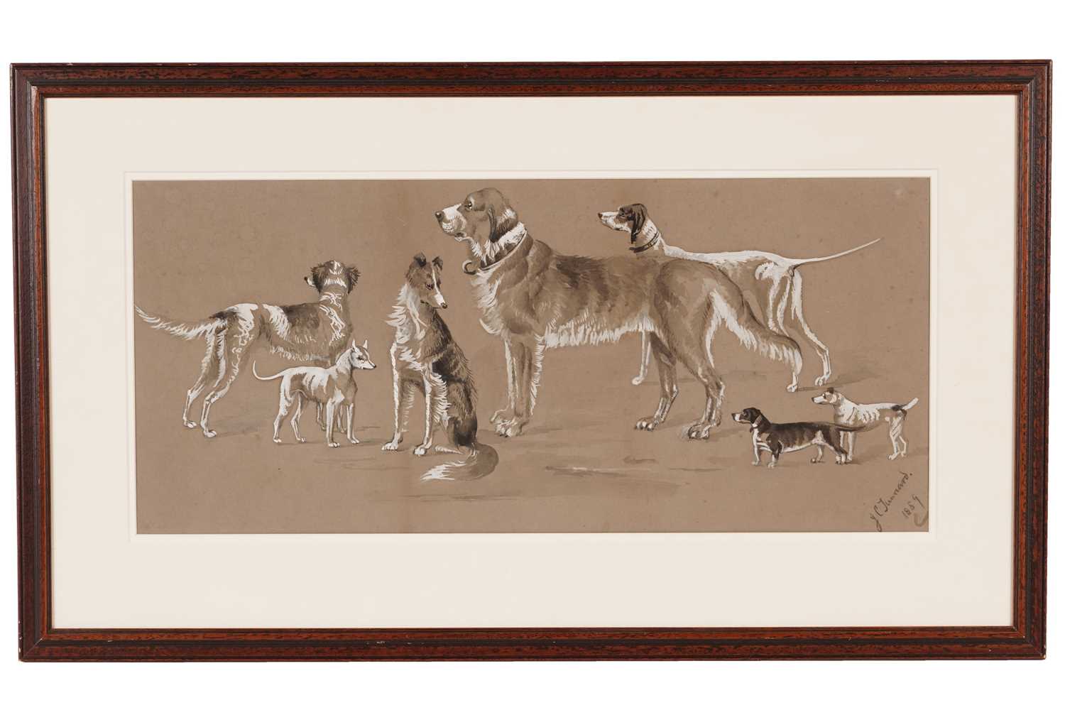Lot 544 - John Charles Tunnard - Canine Studies | Ink wash and gouache