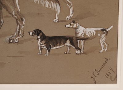 Lot 544 - John Charles Tunnard - Canine Studies | Ink wash and gouache