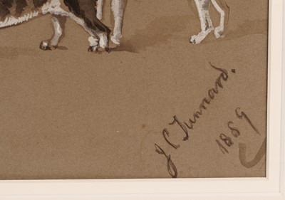 Lot 544 - John Charles Tunnard - Canine Studies | Ink wash and gouache