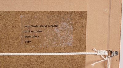 Lot 544 - John Charles Tunnard - Canine Studies | Ink wash and gouache