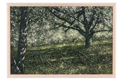 Lot 61 - Harold Little - In the Orchid Late Afternoon | oil