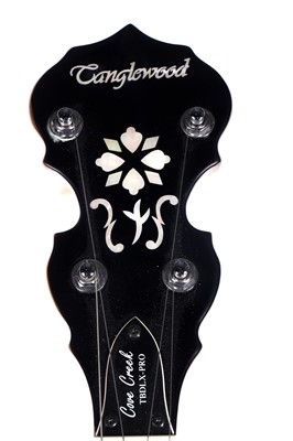 Lot 57 - A Tanglewood Cove Creek five-string banjo