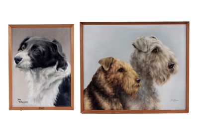 Lot 180 - John Wilkinson - Judy portrait of a Border Collie, and two Airedale Terriers | oil