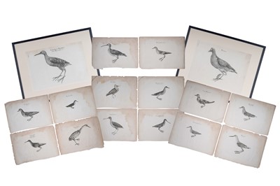 Lot 399 - A collection of etchings and ornithological engravings
