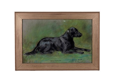 Lot 162 - Eileen Hood - "Juno" 6 Years Old | pastel