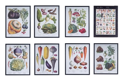Lot 398 - Album Vilmorin – The Vegetable Garden | framed and unframed prints