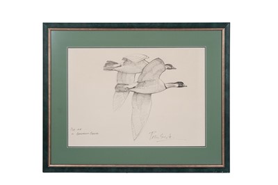 Lot 642 - Peter Markham Scott - Ne-ne or Hawaiian Geese | pen