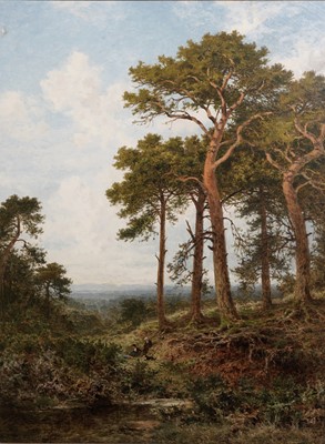 Lot 249 - Benjamin Williams Leader - Surrey Pine Trees | oil