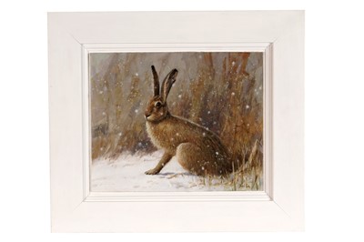 Lot 475 - Neil Cox - Hare in the snow | oil