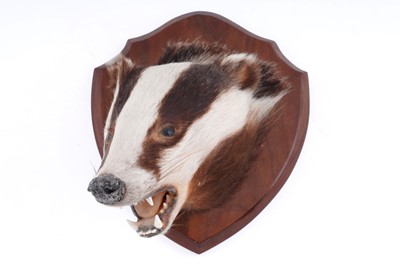 Lot 653 - Taxidermy: A 20th Century Badger mask