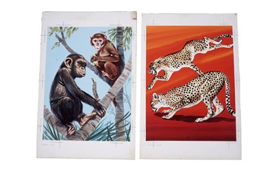 Lot 15 - Original wildlife studies by Edward Mortelmans for Tarzan Annual