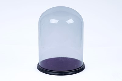 Lot 617 - An early 20th century glass dome display