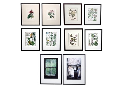Lot 612 - Eight botanical prints