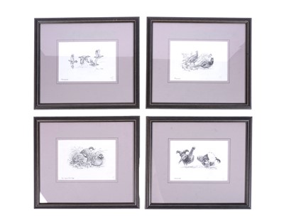 Lot 641 - James Alder - Four sketches of Game birds | pencil