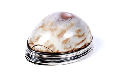 Lot 115 - A George III Irish silver-mounted cowrie shell snuff box by James England, Dublin 1808