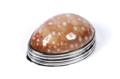 Lot 116 - A George III Irish small silver mounted cowrie shell snuff box