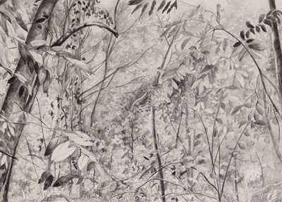 Lot 432 - Jen Maidment - Untitled | pencil