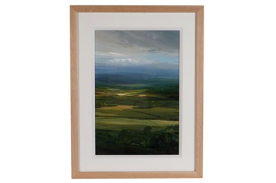 Lot 401 - James Naughton - Bright Vale | oil