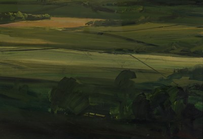 Lot 401 - James Naughton - Bright Vale | oil