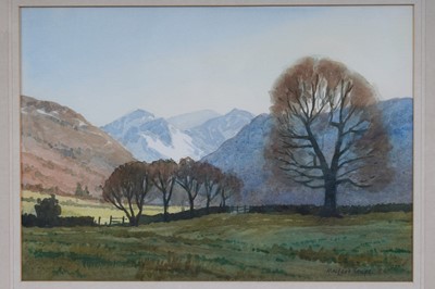 Lot 172 - Phillip Macleod-Coupe - Near Rosthwaite in Borrowdale | watercolour