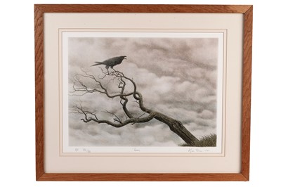 Lot 238 - Alan Stones - Raven | lithograph