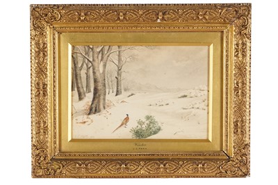 Lot 397 - James Chalmers Park - Pheasant in Winter | watercolour
