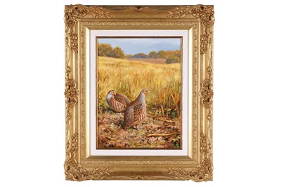 Lot 244 - Rodger McPhail - Two Partridges | oil