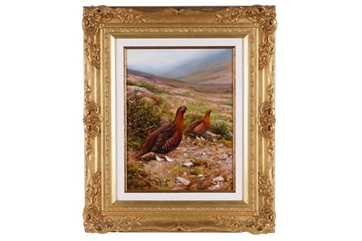 Lot 242 - Rodger McPhail - Two Grouse | oil
