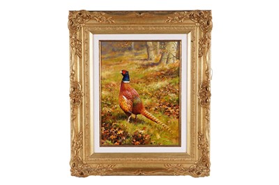 Lot 243 - Rodger McPhail - Pheasant | oil