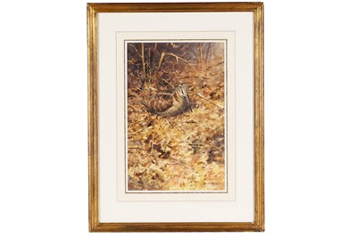 Lot 245 - Rodger McPhail - Autumn Woodcock | watercolour