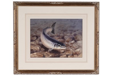 Lot 246 - Rodger McPhail - Salmon chasing a fly | watercolour