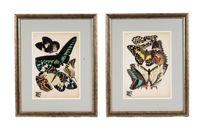 Lot 79 - After E.A. Seguy - Butterflies | lithographs