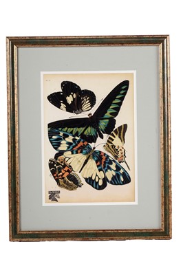 Lot 79 - After E.A. Seguy - Butterflies | lithographs