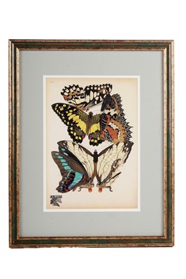 Lot 79 - After E.A. Seguy - Butterflies | lithographs