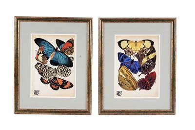 Lot 79 - After E.A. Seguy - Butterflies | lithographs