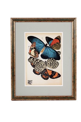 Lot 79 - After E.A. Seguy - Butterflies | lithographs