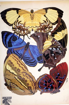Lot 79 - After E.A. Seguy - Butterflies | lithographs