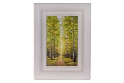 Lot 170 - Inam - Three woodland scenes | overpainted print
