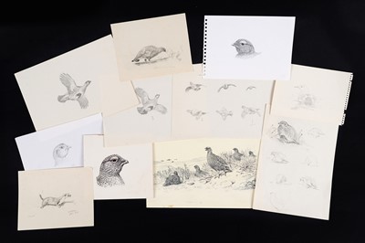 Lot 9 - Charles Stanley Todd - A collection of sketches of Scottish wildlife | pencil and pen