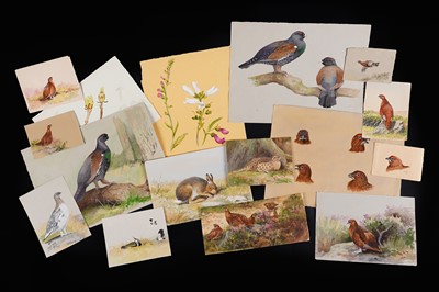 Lot 15 - Charles Stanley Todd - A collection of studies of Scottish wildlife | watercolour