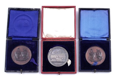 Lot 205 - A Royal Humane Society Proficiency in Swimming / Saving a Life From Drowning medal