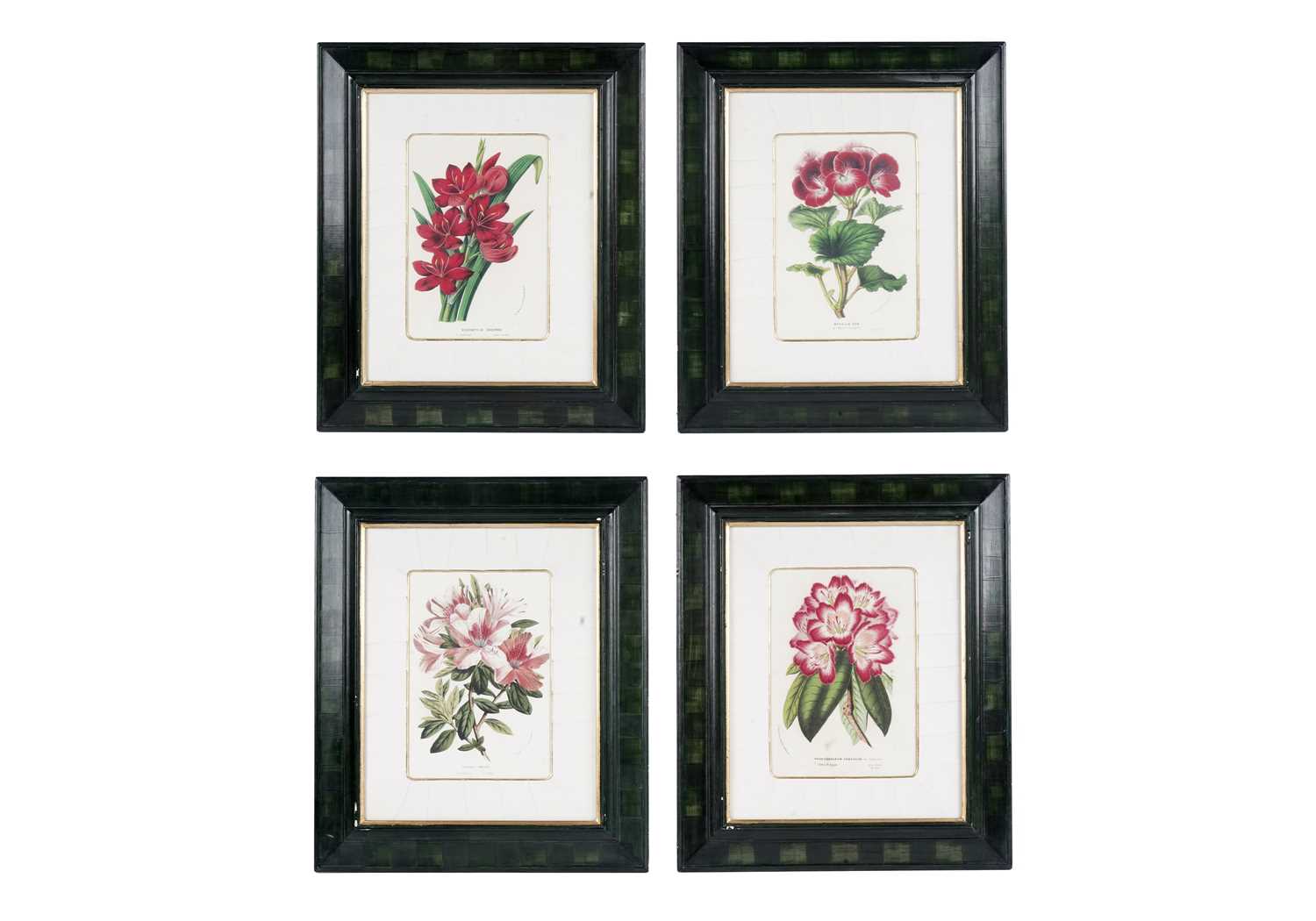 Lot 78 - Four modern lithographs from Flore des Serres et des Jardins de l’Europe'