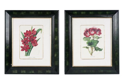 Lot 78 - Four modern lithographs from Flore des Serres et des Jardins de l’Europe'