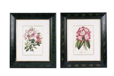 Lot 78 - Four modern lithographs from Flore des Serres et des Jardins de l’Europe'