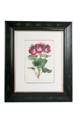 Lot 78 - Four modern lithographs from Flore des Serres et des Jardins de l’Europe'