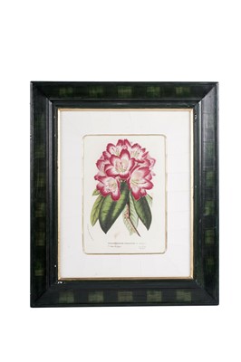 Lot 78 - Four modern lithographs from Flore des Serres et des Jardins de l’Europe'