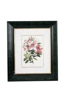 Lot 78 - Four modern lithographs from Flore des Serres et des Jardins de l’Europe'