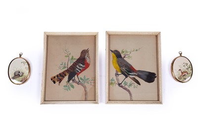 Lot 589 - Two 19th Century feather pictures; and two miniature works by Chris Sparrow