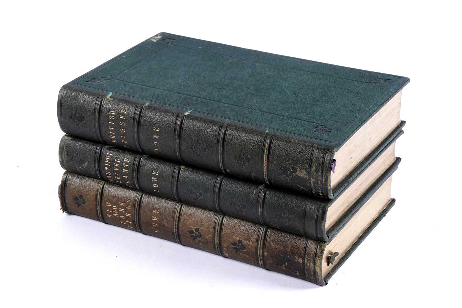 Lot 65 - Lowe (Edward Jonathan): Books on botany, 3 vols