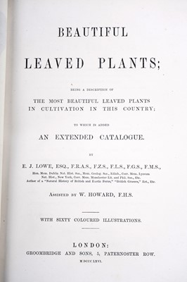 Lot 65 - Lowe (Edward Jonathan): Books on botany, 3 vols